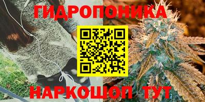 СК Старая Купавна