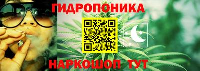 шишки Славянск-на-Кубани