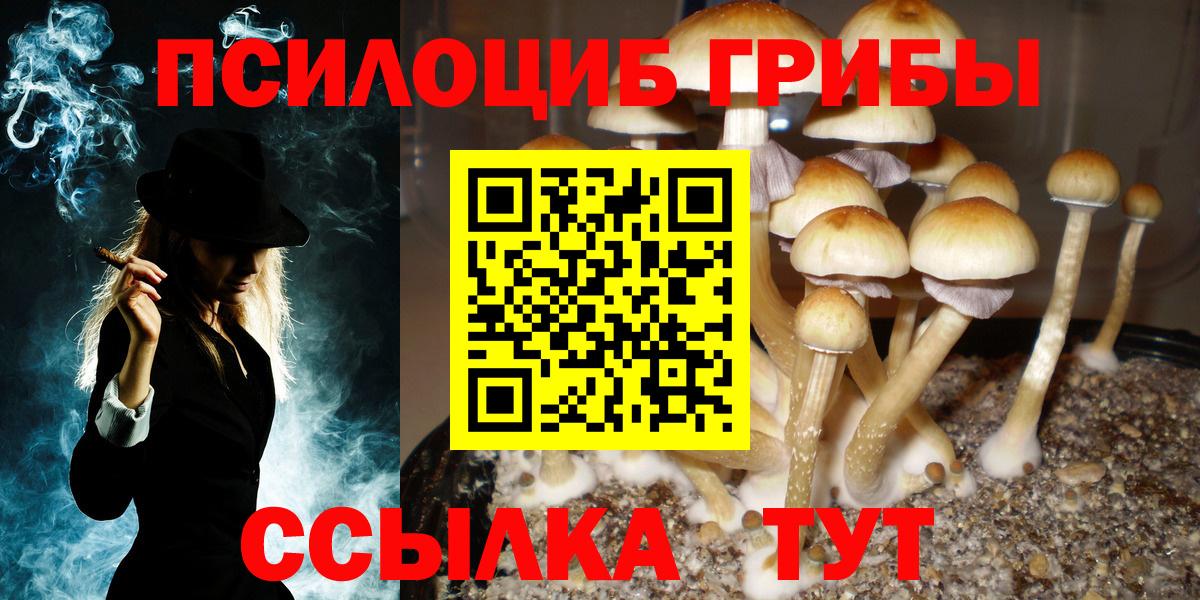 Россошь  Псилоцибиновые грибы Cubensis  Вход с VPN  Галлюциногенные грибы Cubensis 