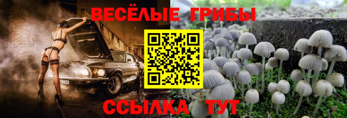 Галлюциногенные грибы MAGIC MUSHROOMS Россошь
